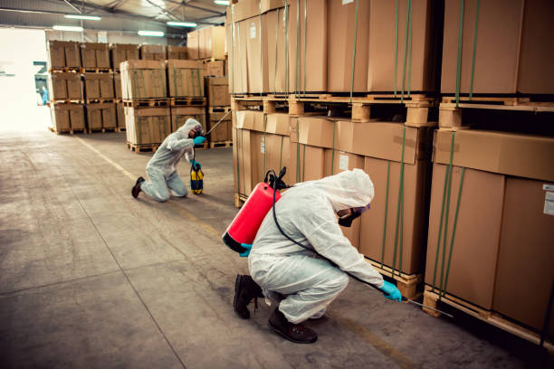 Best Bed Bug Extermination  in Chico, CA