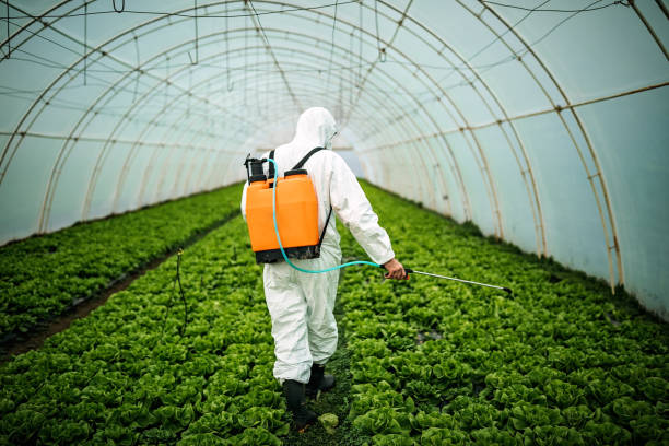 Pest Control Cost in Chico, CA