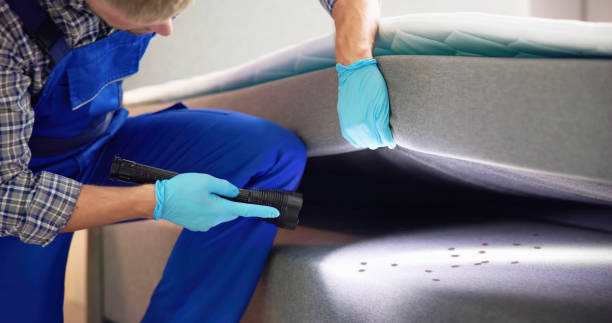 Best Wildlife Control Services  in Chico, CA