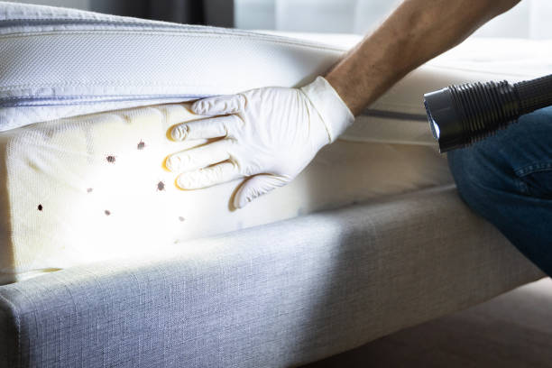 Best Best Pest Control Companies  in Chico, CA