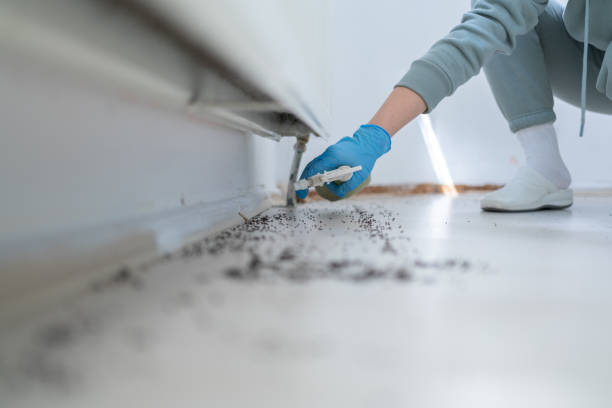 Pest Control for Restaurants in Chico, CA