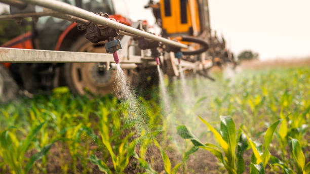 Best Commercial Pest Control Services  in Chico, CA
